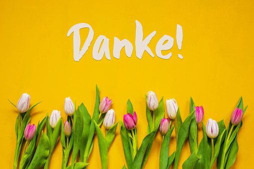 Vielen, vielen Dank!!